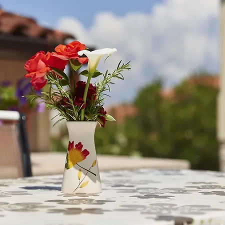 Petar * Rovinj